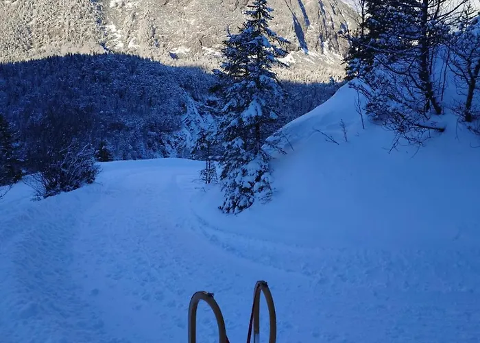 B&B Garni Isarlodge Wiesenhof 샤르니츠